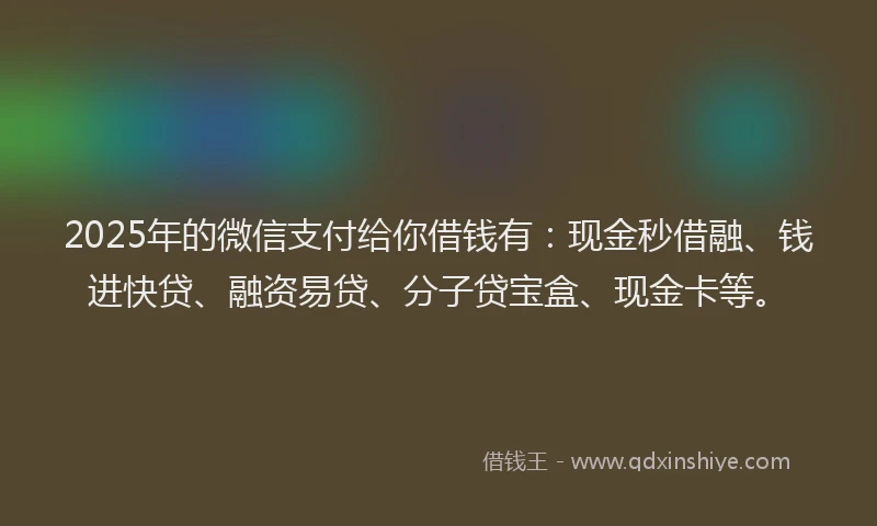 2025年的微信支付给你借钱有：现金秒借融、钱进快贷、融资易贷、分子贷宝盒、现金卡等。