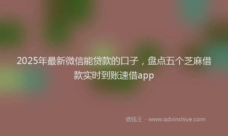 2025年最新微信能贷款的口子，盘点五个芝麻借款实时到账速借app