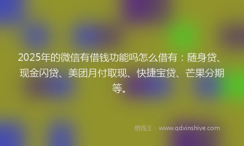 2025年的微信有借钱功能吗怎么借有：随身贷、现金闪贷、美团月付取现、快捷宝贷、芒果分期等。