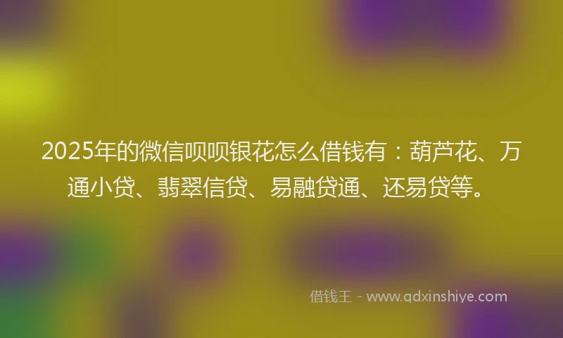 2025年的微信呗呗银花怎么借钱有：葫芦花、万通小贷、翡翠信贷、易融贷通、还易贷等。