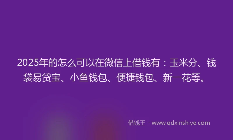 2025年的怎么可以在微信上借钱有：玉米分、钱袋易贷宝、小鱼钱包、便捷钱包、新一花等。