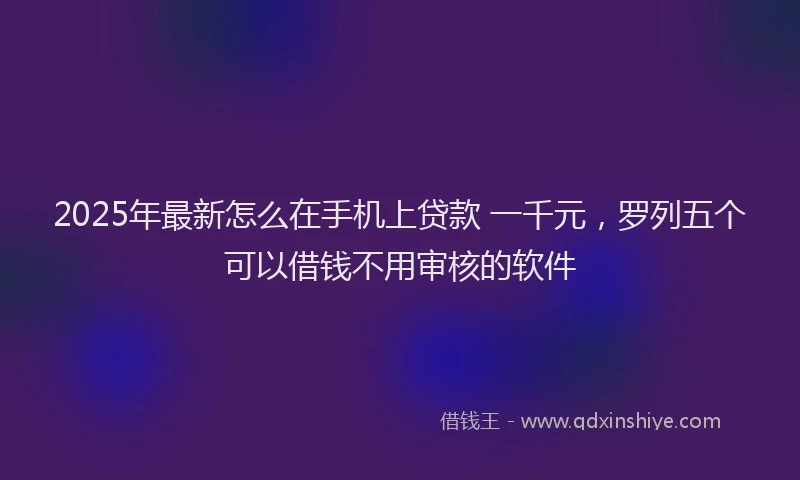 2025年最新怎么在手机上贷款 一千元，罗列五个可以借钱不用审核的软件