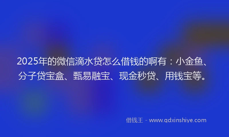 2025年的微信滴水贷怎么借钱的啊有：小金鱼、分子贷宝盒、甄易融宝、现金秒贷、用钱宝等。