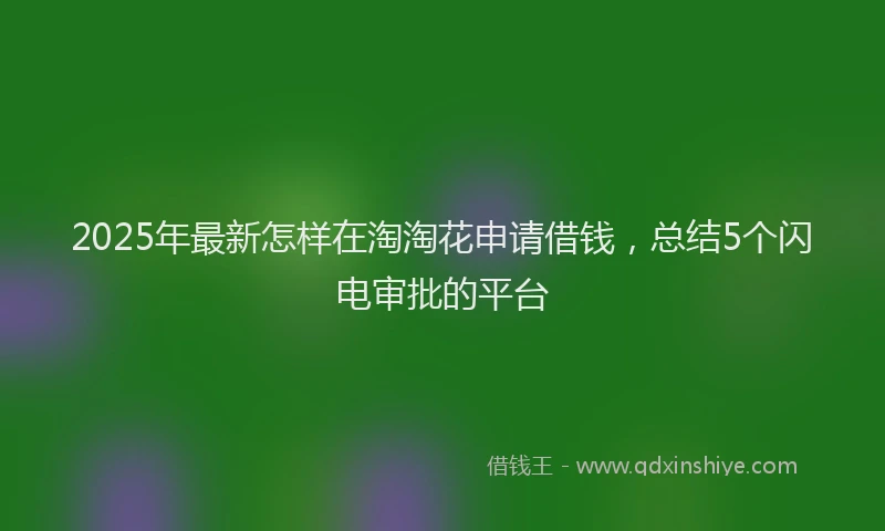 2025年最新怎样在淘淘花申请借钱，总结5个闪电审批的平台