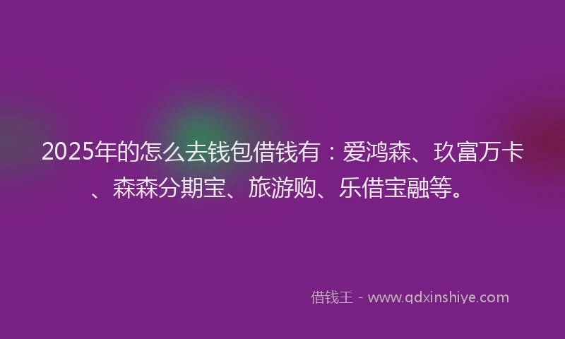 2025年的怎么去钱包借钱有：爱鸿森、玖富万卡、森森分期宝、旅游购、乐借宝融等。