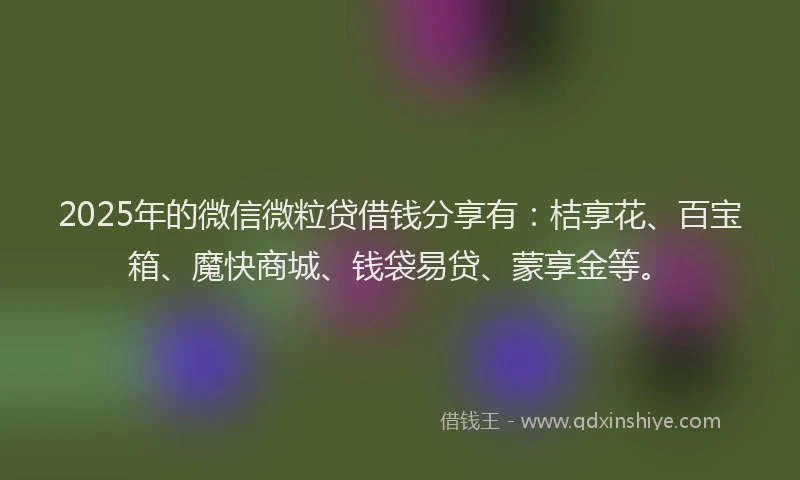 2025年的微信微粒贷借钱分享有：桔享花、百宝箱、魔快商城、钱袋易贷、蒙享金等。