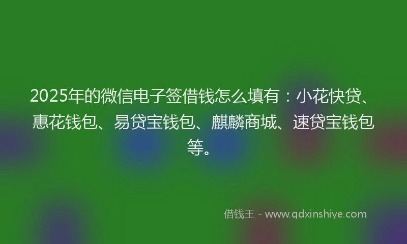 2025年的微信电子签借钱怎么填有：小花快贷、惠花钱包、易贷宝钱包、麒麟商城、速贷宝钱包等。