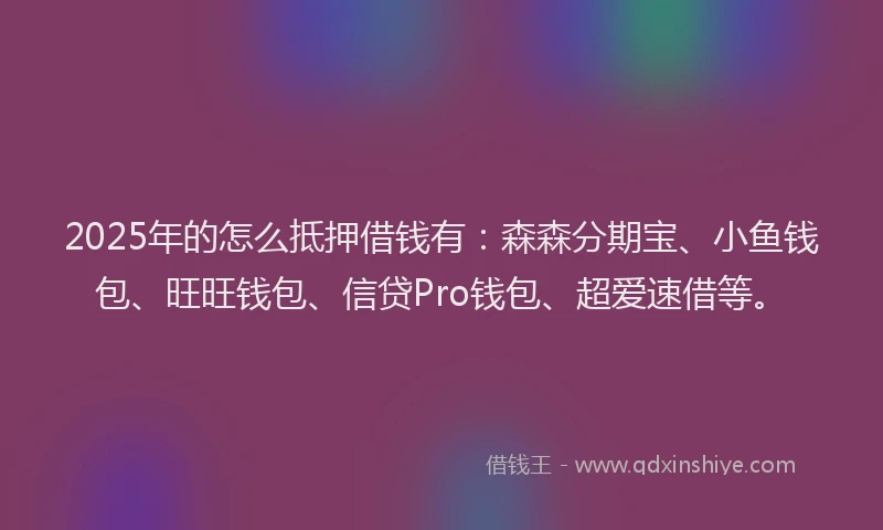 2025年的怎么抵押借钱有：森森分期宝、小鱼钱包、旺旺钱包、信贷Pro钱包、超爱速借等。