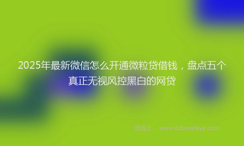2025年最新微信怎么开通微粒贷借钱，盘点五个真正无视风控黑白的网贷