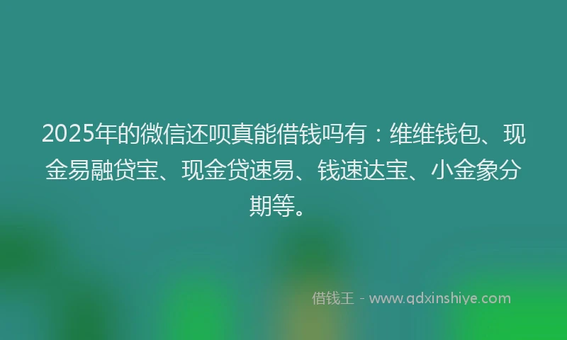 2025年的微信还呗真能借钱吗有：维维钱包、现金易融贷宝、现金贷速易、钱速达宝、小金象分期等。