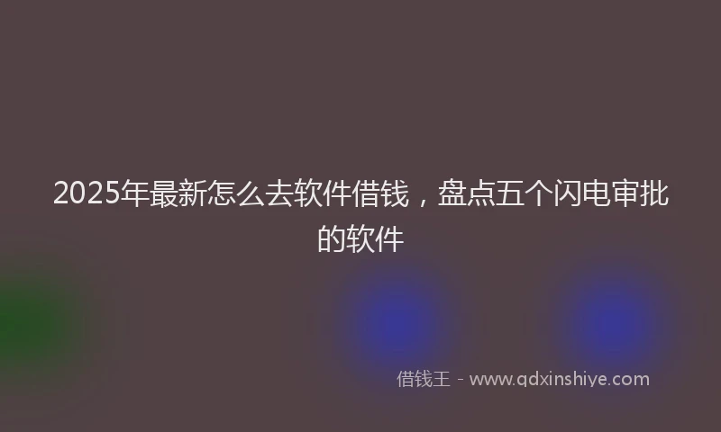 2025年最新怎么去软件借钱，盘点五个闪电审批的软件