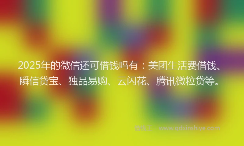 2025年的微信还可借钱吗有：美团生活费借钱、瞬信贷宝、独品易购、云闪花、腾讯微粒贷等。