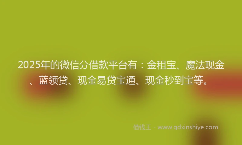 2025年的微信分借款平台有：金租宝、魔法现金、蓝领贷、现金易贷宝通、现金秒到宝等。