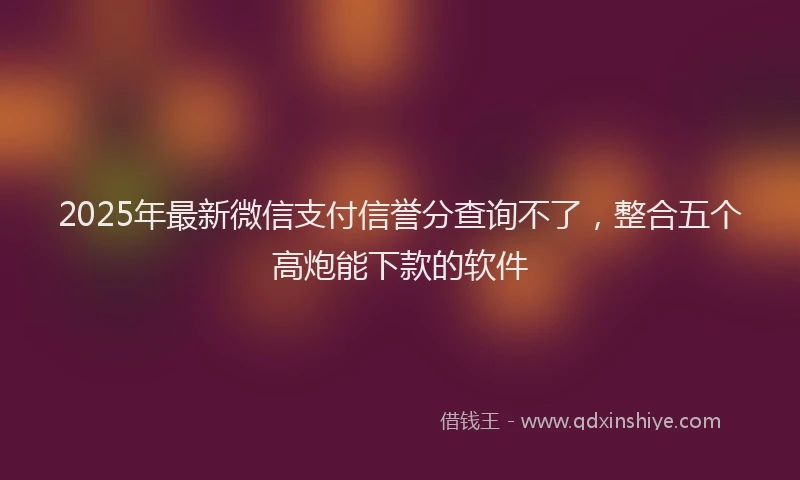 2025年最新微信支付信誉分查询不了，整合五个高炮能下款的软件