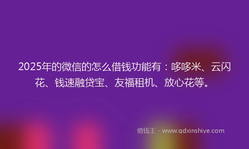 2025年的微信的怎么借钱功能有：哆哆米、云闪花、钱速融贷宝、友福租机、放心花等。