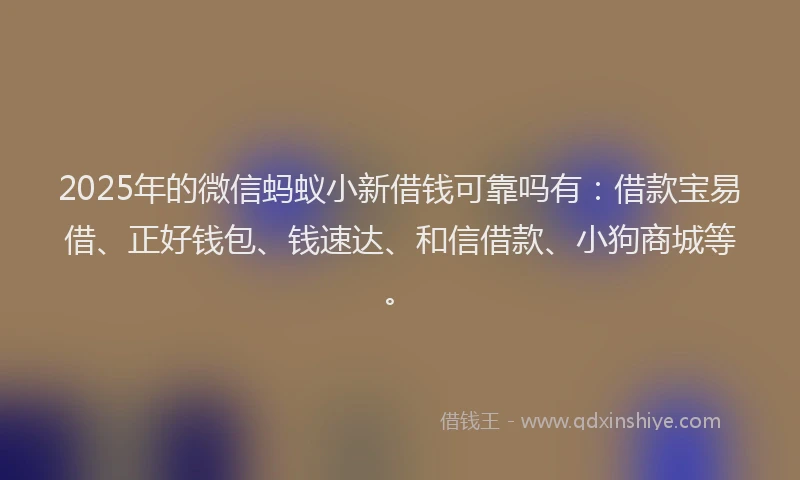 2025年的微信蚂蚁小新借钱可靠吗有：借款宝易借、正好钱包、钱速达、和信借款、小狗商城等。