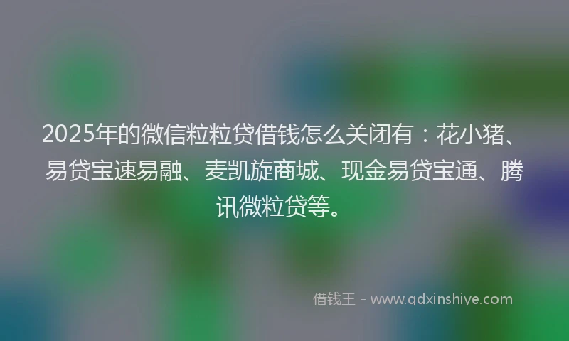 2025年的微信粒粒贷借钱怎么关闭有：花小猪、易贷宝速易融、麦凯旋商城、现金易贷宝通、腾讯微粒贷等。