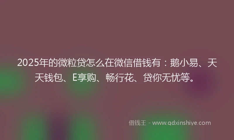2025年的微粒贷怎么在微信借钱有：鹅小易、天天钱包、E享购、畅行花、贷你无忧等。