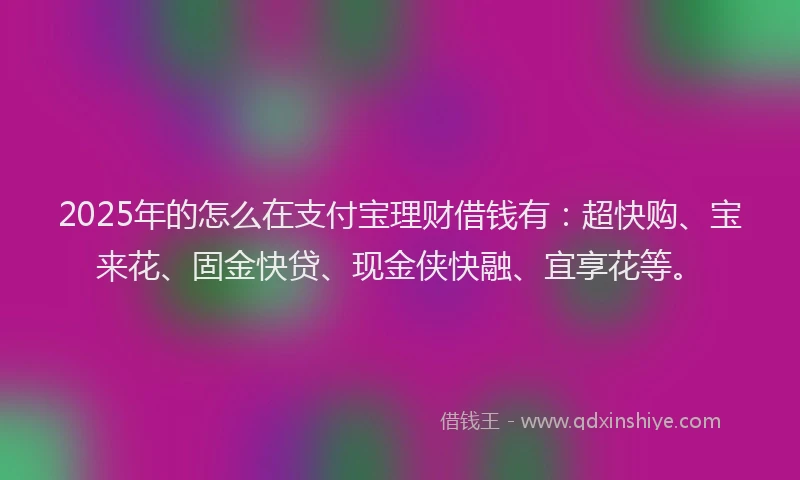 2025年的怎么在支付宝理财借钱有：超快购、宝来花、固金快贷、现金侠快融、宜享花等。