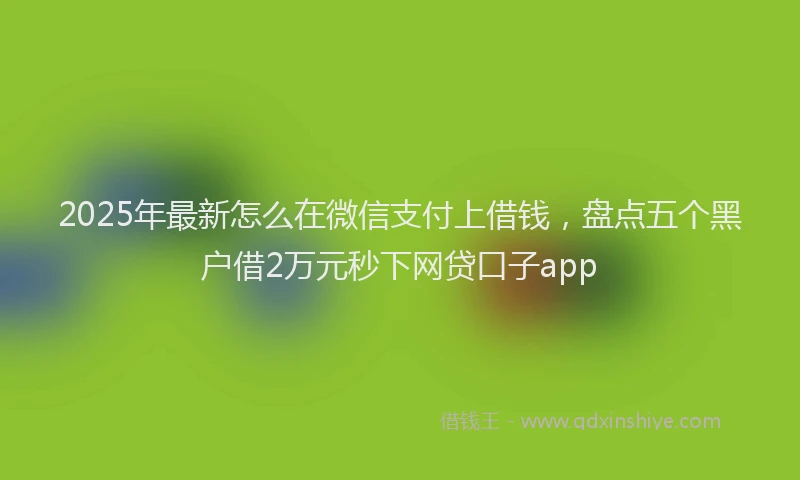 2025年最新怎么在微信支付上借钱，盘点五个黑户借2万元秒下网贷口子app