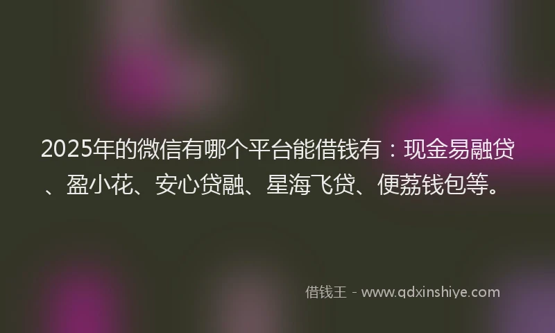 2025年的微信有哪个平台能借钱有：现金易融贷、盈小花、安心贷融、星海飞贷、便荔钱包等。
