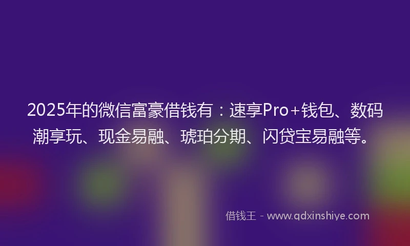 2025年的微信富豪借钱有：速享Pro+钱包、数码潮享玩、现金易融、琥珀分期、闪贷宝易融等。