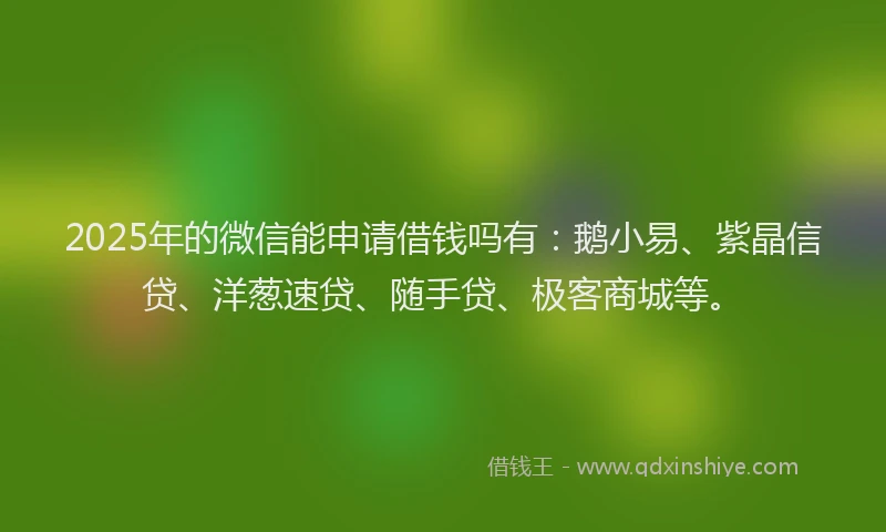 2025年的微信能申请借钱吗有：鹅小易、紫晶信贷、洋葱速贷、随手贷、极客商城等。
