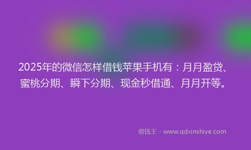 2025年的微信怎样借钱苹果手机有：月月盈贷、蜜桃分期、瞬下分期、现金秒借通、月月开等。