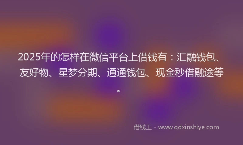 2025年的怎样在微信平台上借钱有：汇融钱包、友好物、星梦分期、通通钱包、现金秒借融途等。