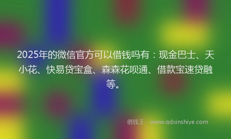 2025年的微信官方可以借钱吗有：现金巴士、天小花、快易贷宝盒、森森花呗通、借款宝速贷融等。