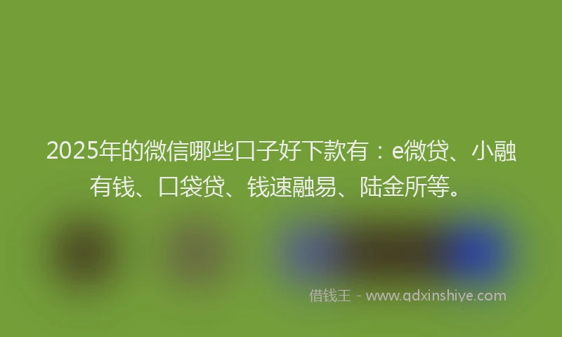 2025年的微信哪些口子好下款有：e微贷、小融有钱、口袋贷、钱速融易、陆金所等。