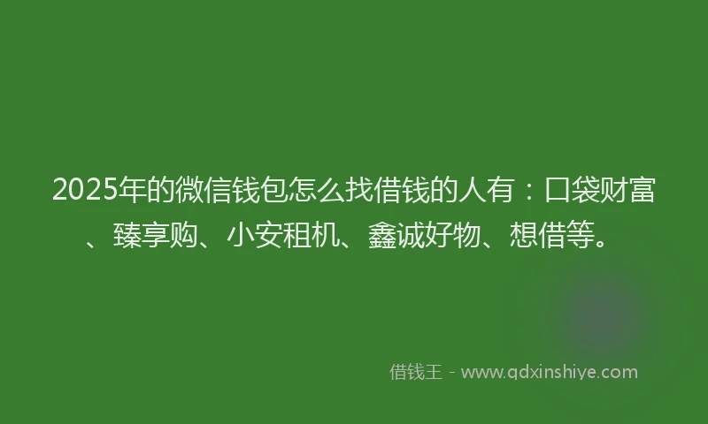 2025年的微信钱包怎么找借钱的人有：口袋财富、臻享购、小安租机、鑫诚好物、想借等。