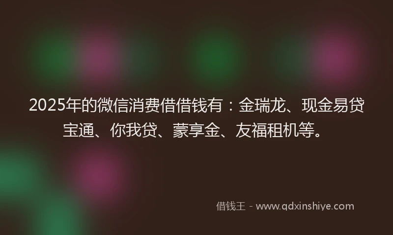 2025年的微信消费借借钱有：金瑞龙、现金易贷宝通、你我贷、蒙享金、友福租机等。