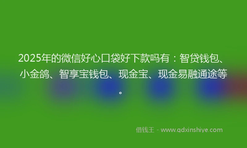2025年的微信好心口袋好下款吗有：智贷钱包、小金鸽、智享宝钱包、现金宝、现金易融通途等。