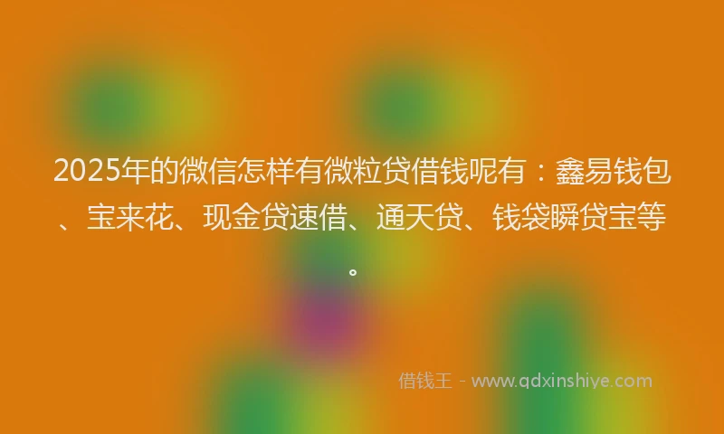 2025年的微信怎样有微粒贷借钱呢有：鑫易钱包、宝来花、现金贷速借、通天贷、钱袋瞬贷宝等。