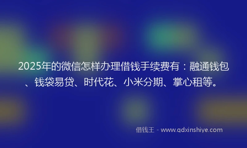 2025年的微信怎样办理借钱手续费有：融通钱包、钱袋易贷、时代花、小米分期、掌心租等。