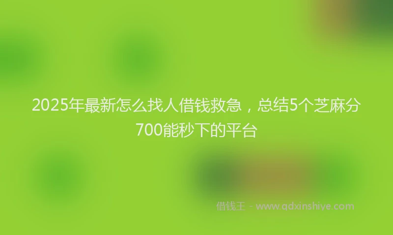 2025年最新怎么找人借钱救急，总结5个芝麻分700能秒下的平台