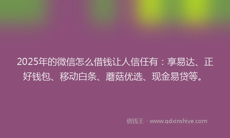 2025年的微信怎么借钱让人信任有：享易达、正好钱包、移动白条、蘑菇优选、现金易贷等。