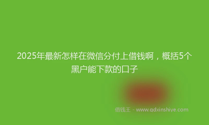 2025年最新怎样在微信分付上借钱啊，概括5个黑户能下款的口子