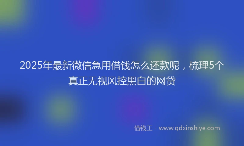 2025年最新微信急用借钱怎么还款呢，梳理5个真正无视风控黑白的网贷