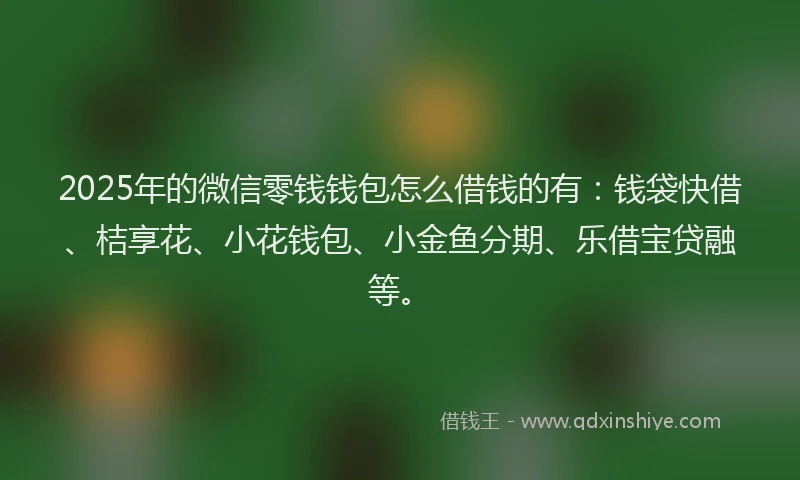 2025年的微信零钱钱包怎么借钱的有：钱袋快借、桔享花、小花钱包、小金鱼分期、乐借宝贷融等。