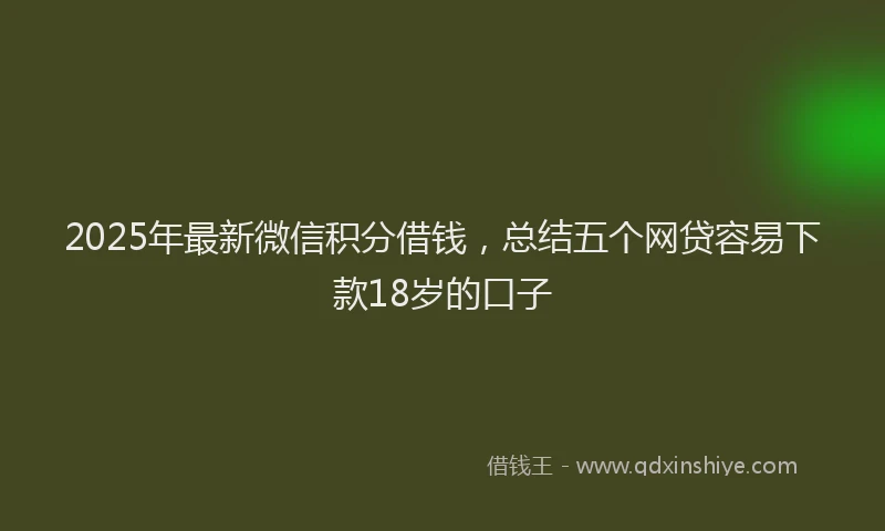 2025年最新微信积分借钱，总结五个网贷容易下款18岁的口子