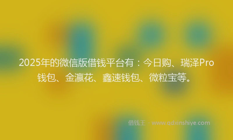 2025年的微信版借钱平台有：今日购、瑞泽Pro钱包、金瀛花、鑫速钱包、微粒宝等。