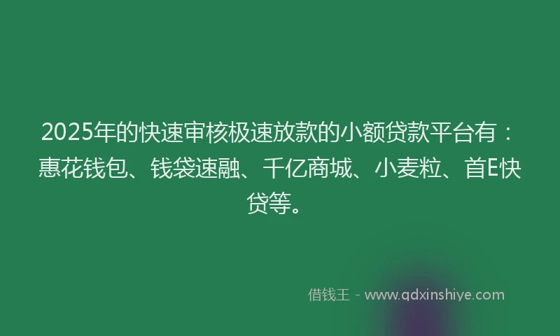 2025年的快速审核极速放款的小额贷款平台有：惠花钱包、钱袋速融、千亿商城、小麦粒、首E快贷等。