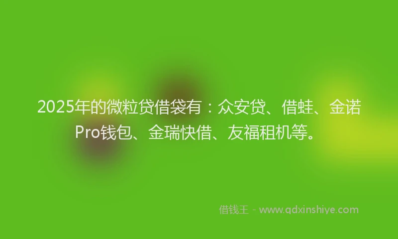2025年的微粒贷借袋有：众安贷、借蛙、金诺Pro钱包、金瑞快借、友福租机等。