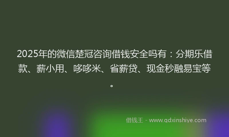 2025年的微信楚冠咨询借钱安全吗有：分期乐借款、薪小用、哆哆米、省薪贷、现金秒融易宝等。
