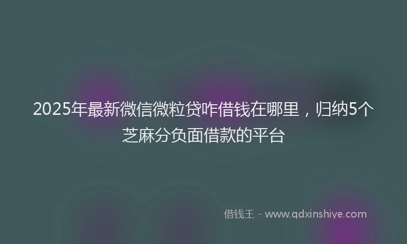 2025年最新微信微粒贷咋借钱在哪里，归纳5个芝麻分负面借款的平台