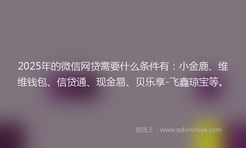 2025年的微信网贷需要什么条件有：小金鹿、维维钱包、信贷通、现金易、贝乐享-飞鑫琼宝等。