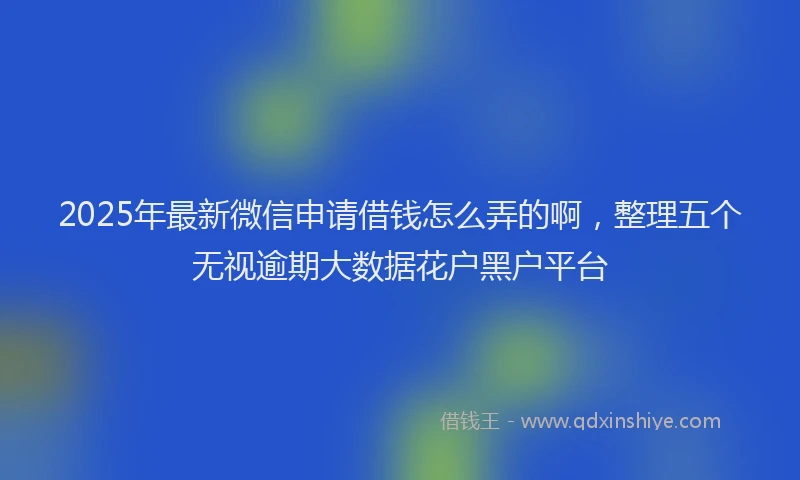 2025年最新微信申请借钱怎么弄的啊，整理五个无视逾期大数据花户黑户平台