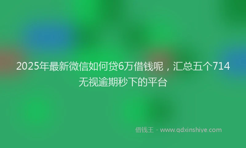 2025年最新微信如何贷6万借钱呢，汇总五个714无视逾期秒下的平台